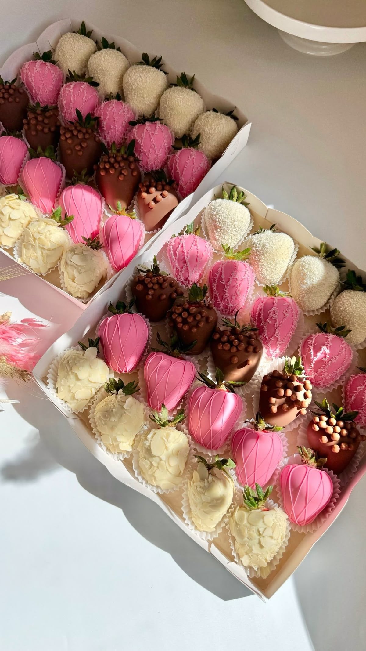 25 fresas surtidas