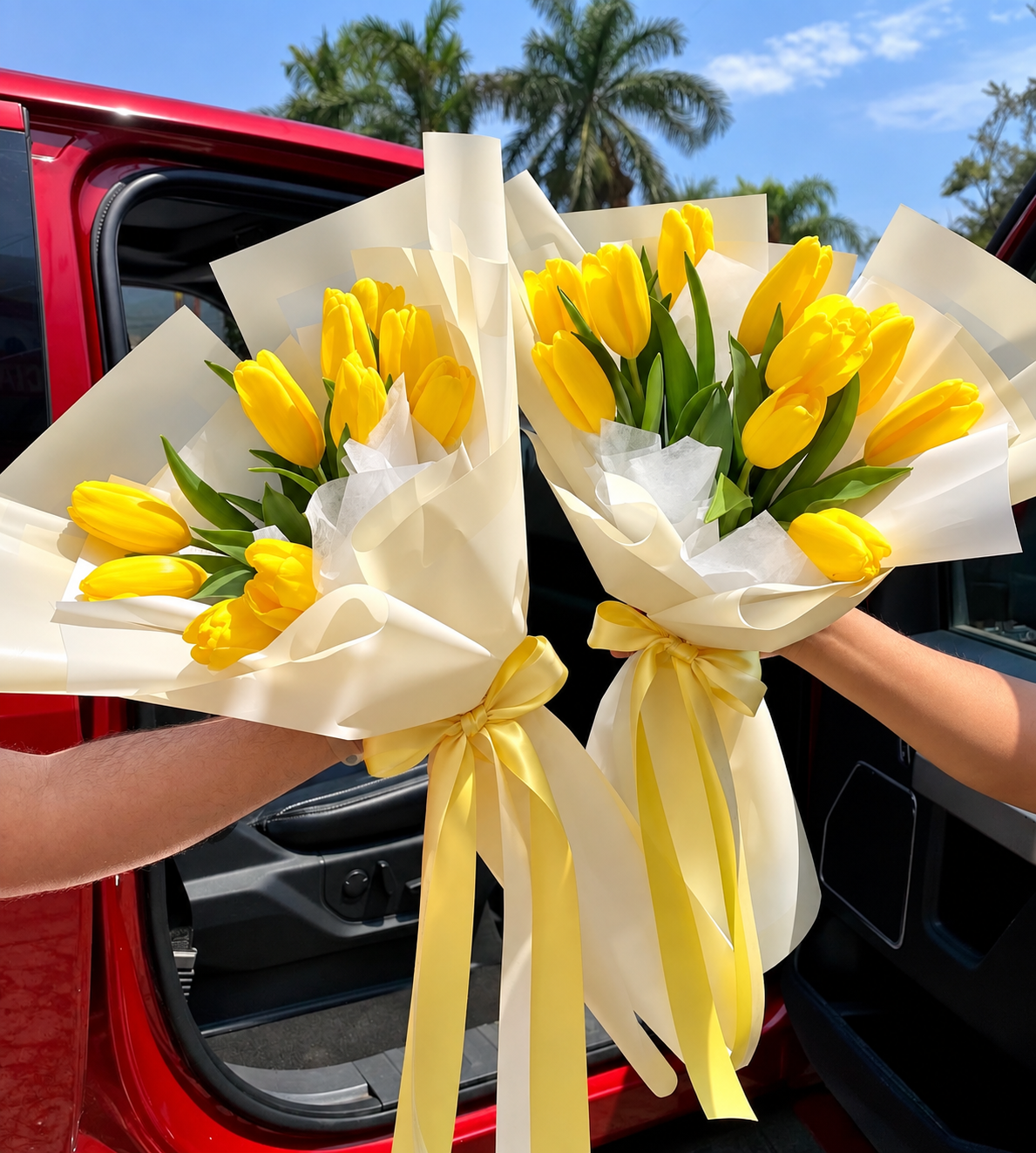 Tulipanes