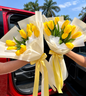 Tulipanes