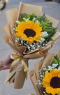 Girasolito